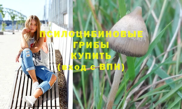 гашиш Арсеньев